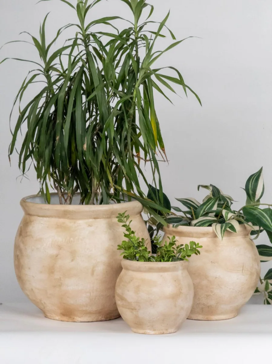 Classic Ceramic Planter Set of 2 (2" Dia) — Primary View