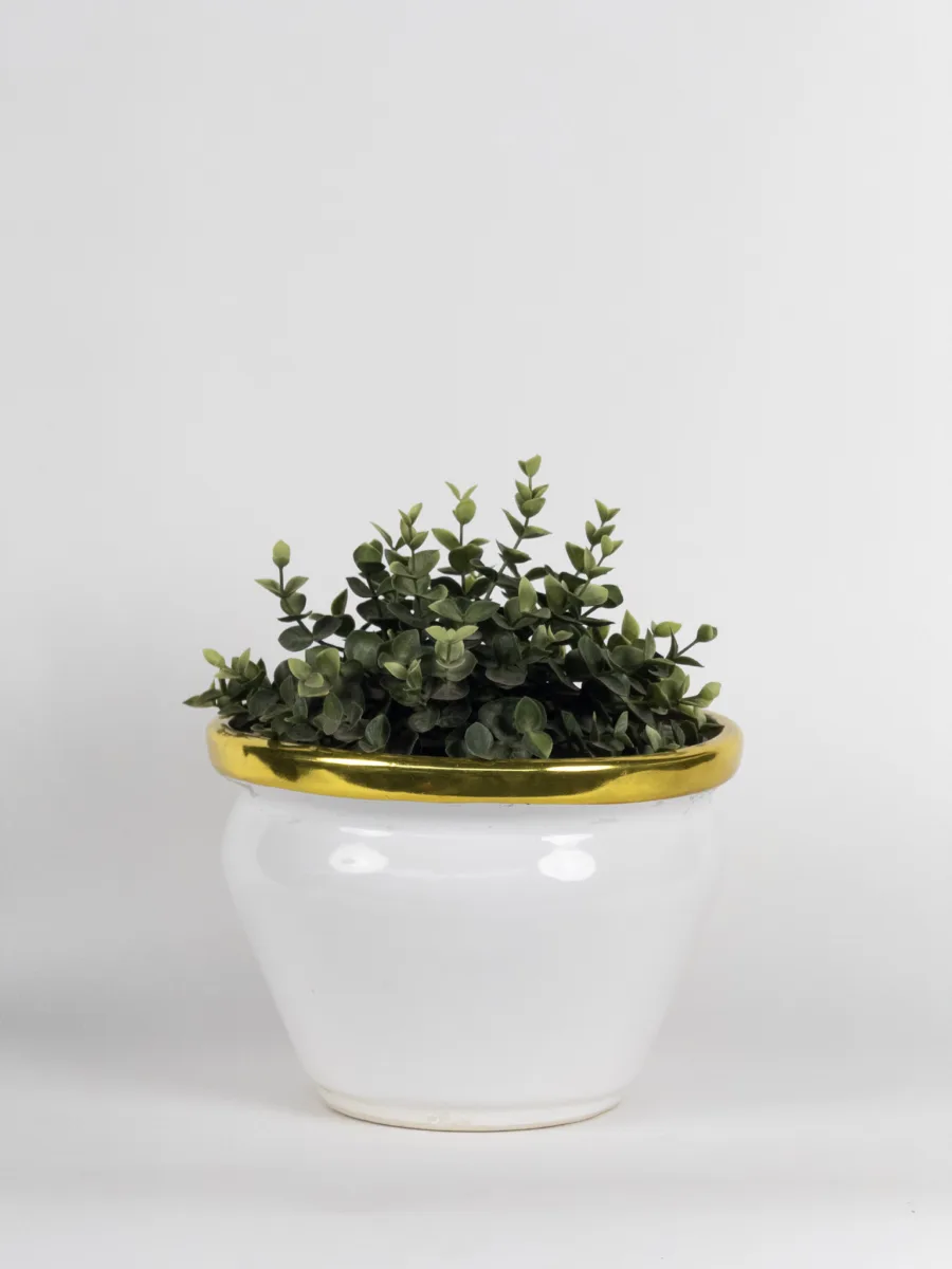 Classic Ceramic Planter Set of 2 (2" Dia) — Primary View