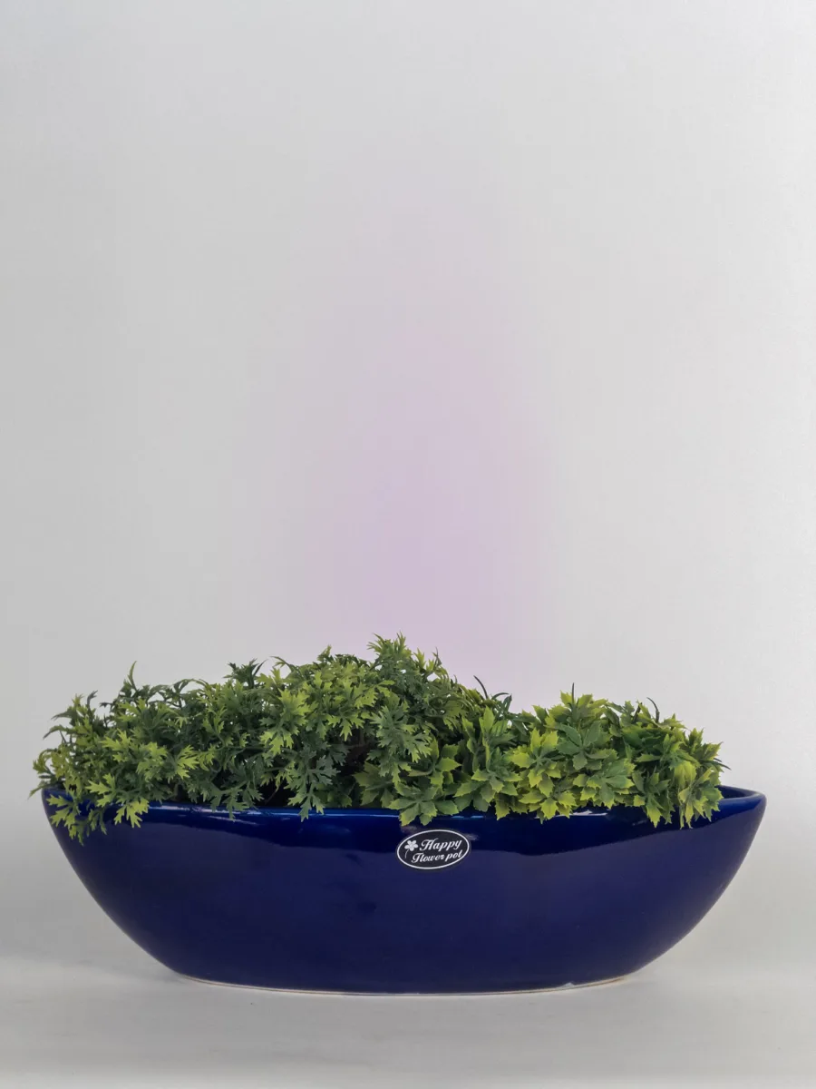 Classic Ceramic Planter Set of 3 (3" Dia) — Primary View