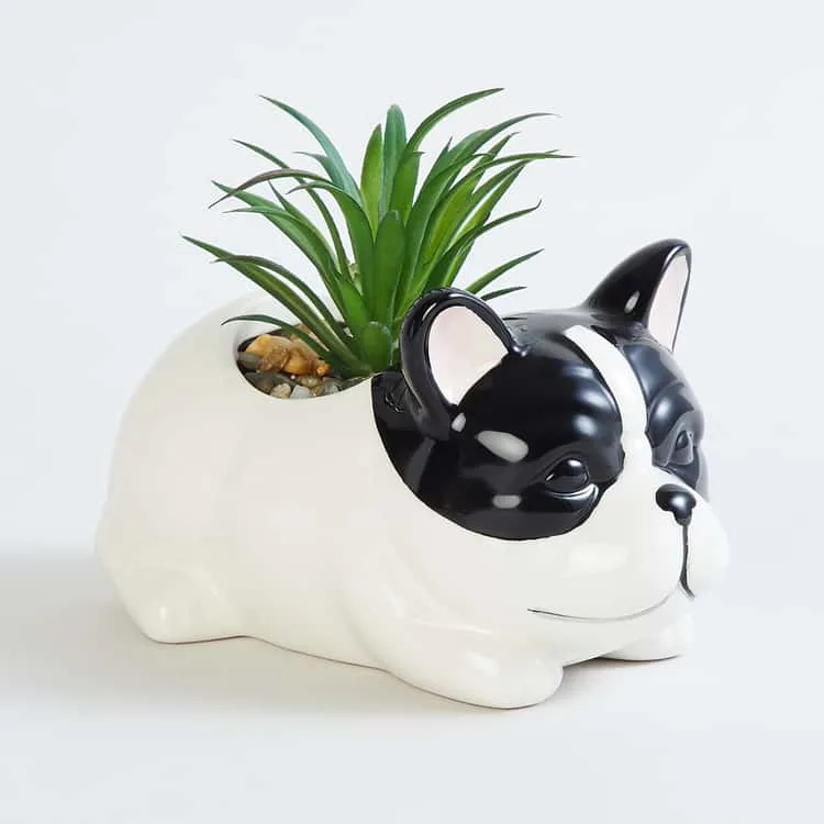 Classic Resin Planter — 3" Dia × 4" Height — Primary View