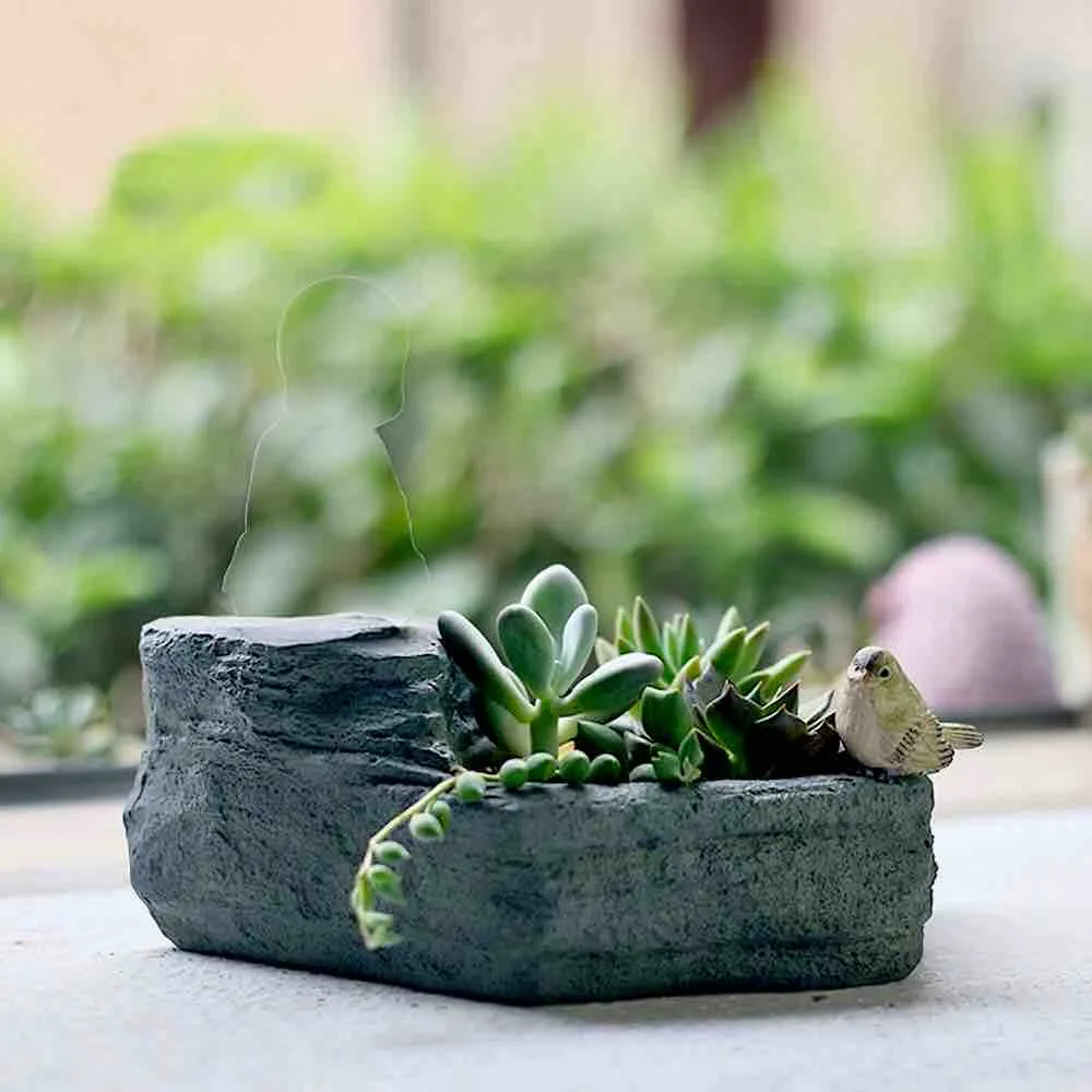 Classic Resin Planter — 3" Dia × 6" Height — Primary View