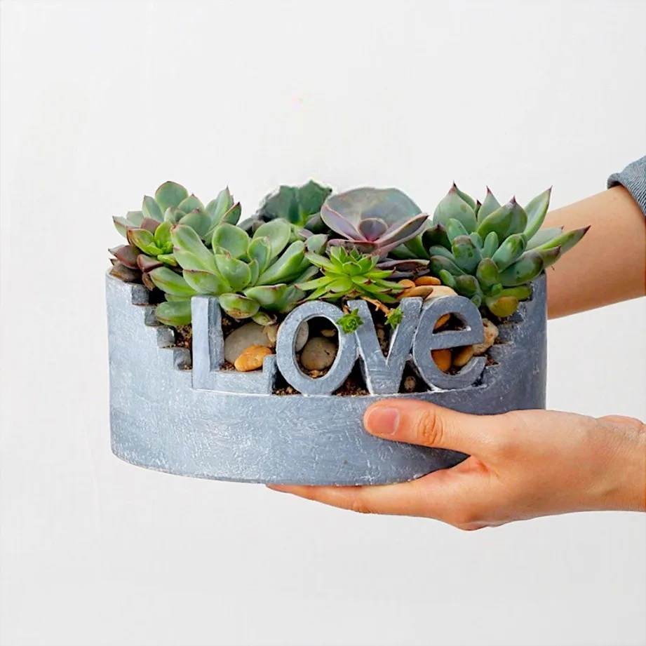 Classic Resin Planter — 3" Dia × 5" Height — Primary View