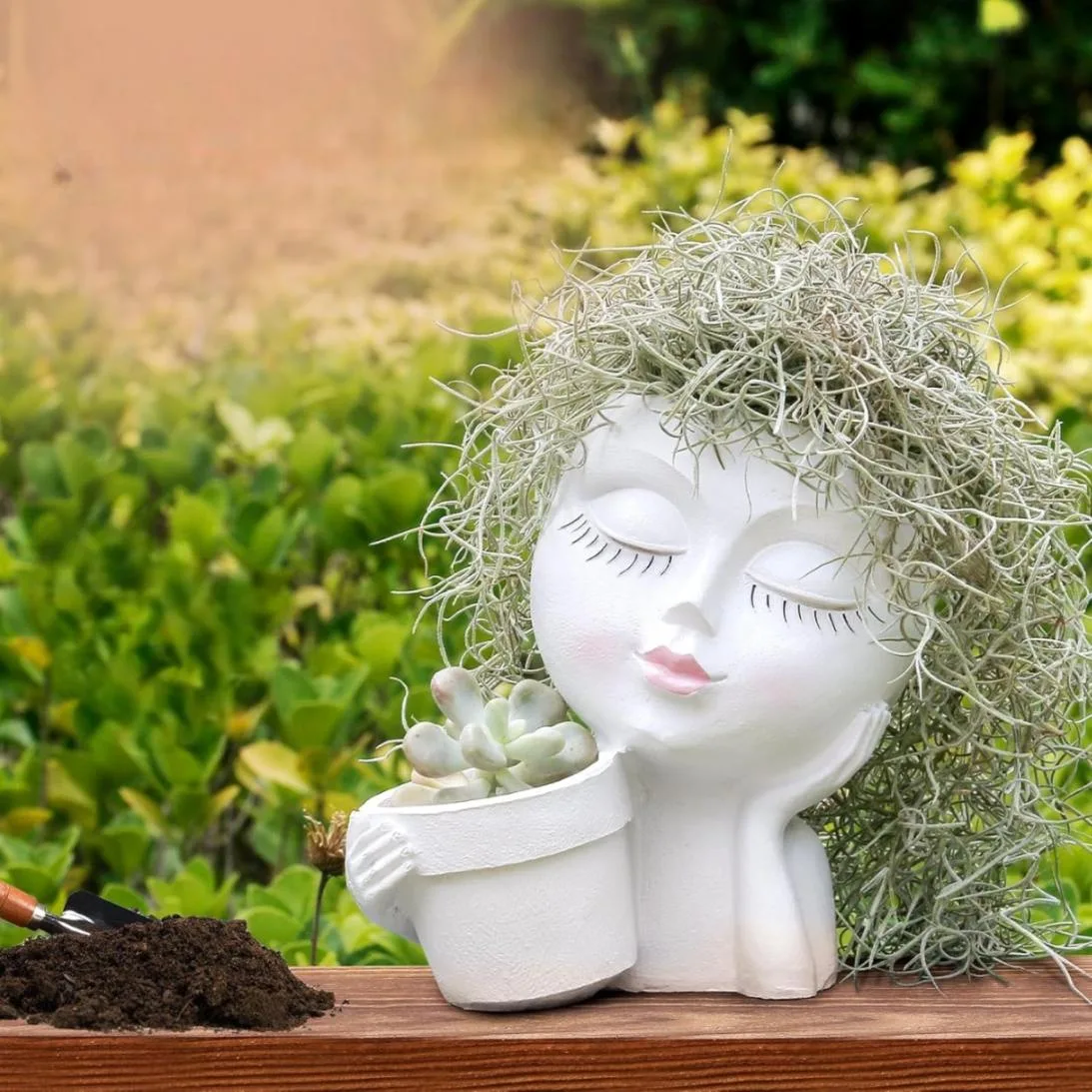 Classic Resin Planter — 6" Dia × 6" Height — Primary View