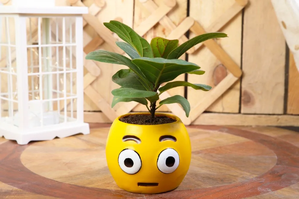 Classic Resin Planter — 6" Dia × 7" Height — Primary View