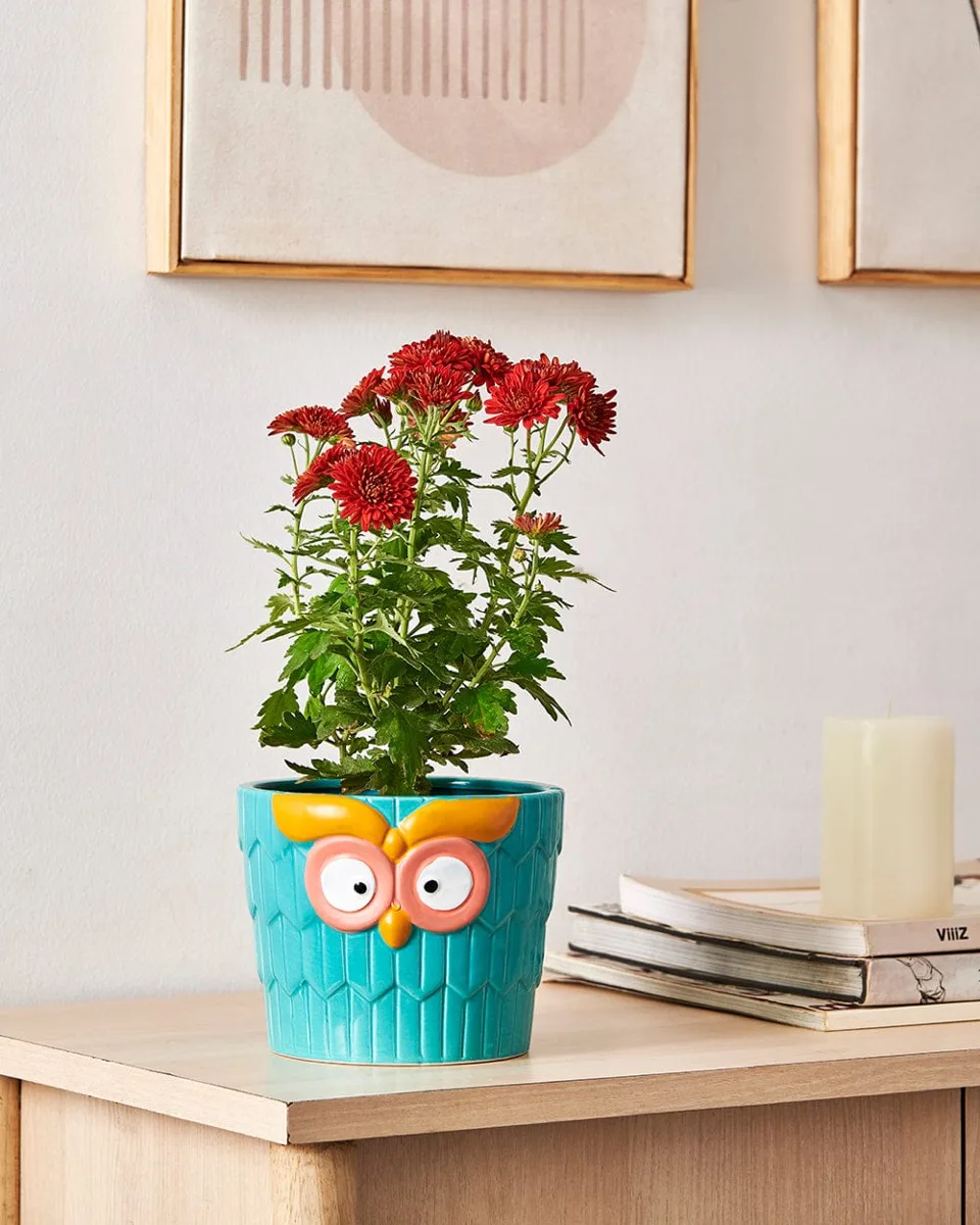 Classic Resin Planter — Primary View