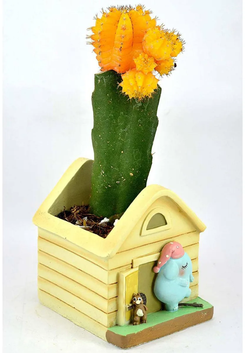 Classic Resin Planter — 3" Dia × 5" Height — Primary View
