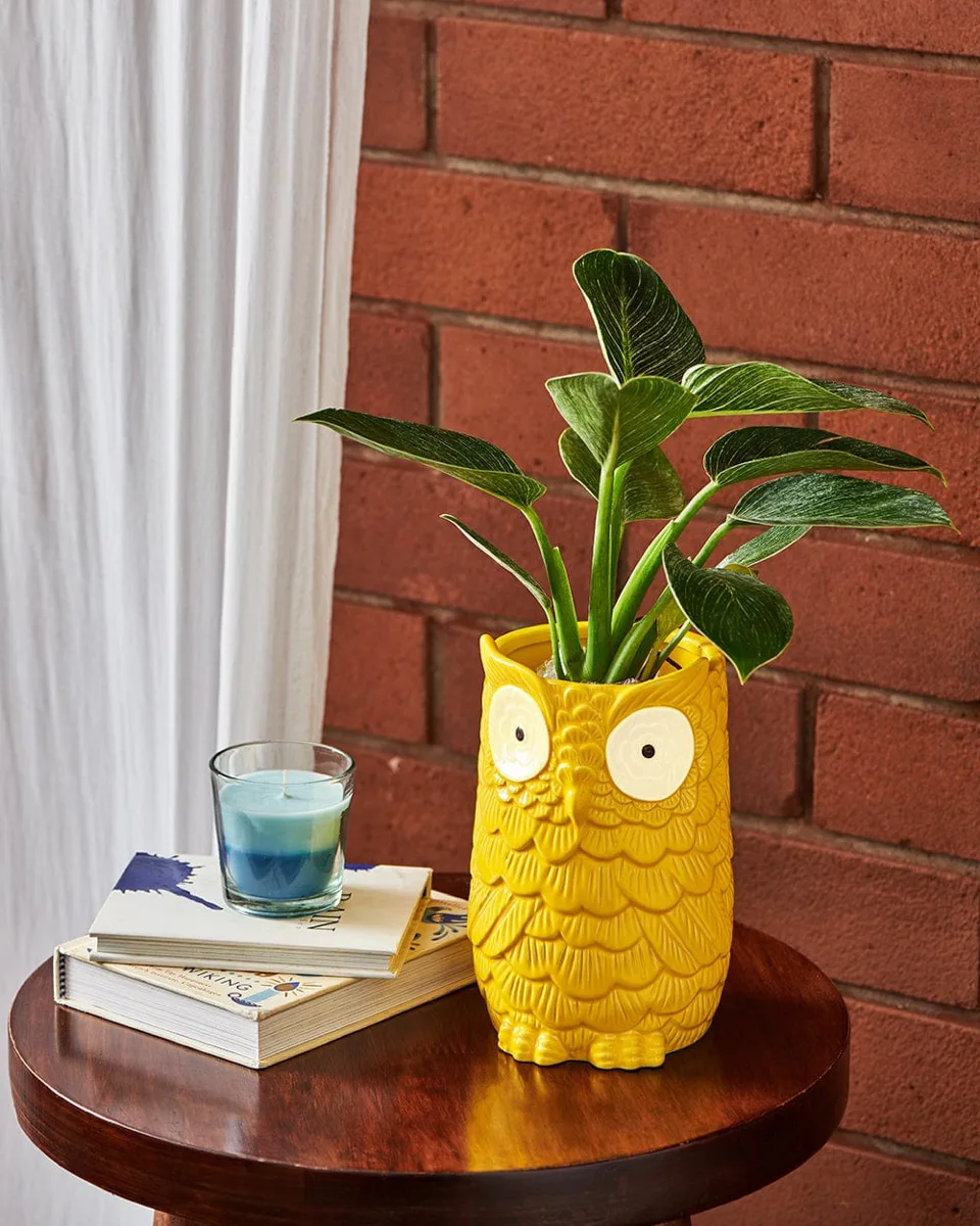 Classic Resin Planter — 6" Dia × 12" Height — Primary View
