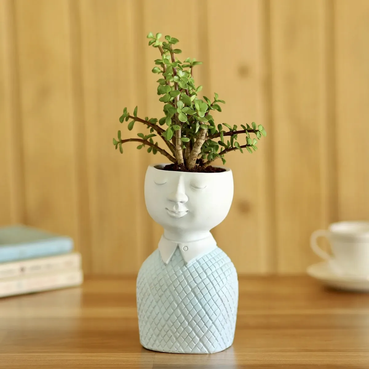 Classic Resin Planter — 4" Dia × 4" Height — Primary View