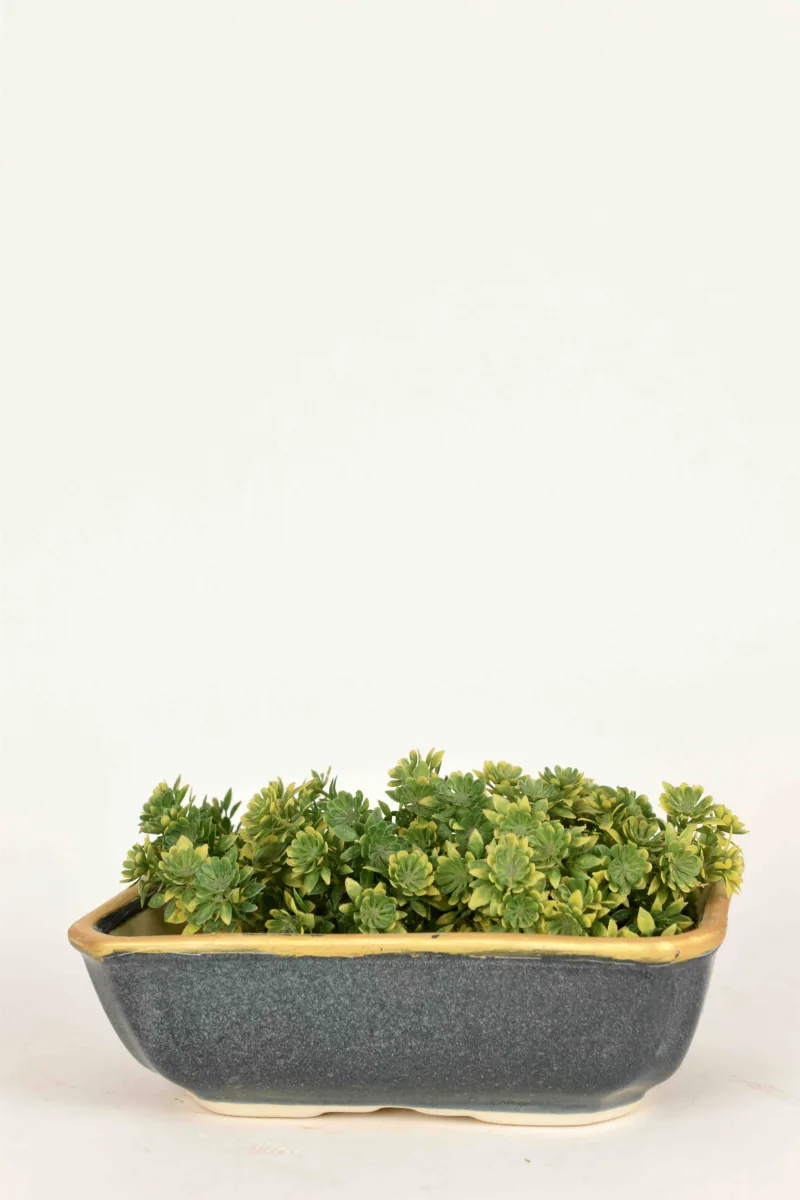 Classic Ceramic Planter — 7" Dia × 14" Height — Primary View