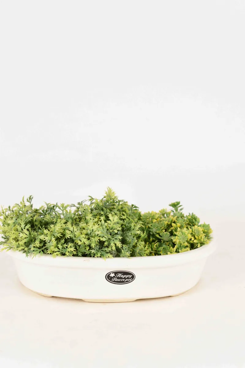 Classic Ceramic Planter — 6" Dia × 14" Height — Primary View