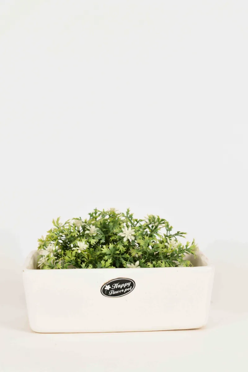 Classic Ceramic Planter — 5.5" Dia × 3" Height — Primary View