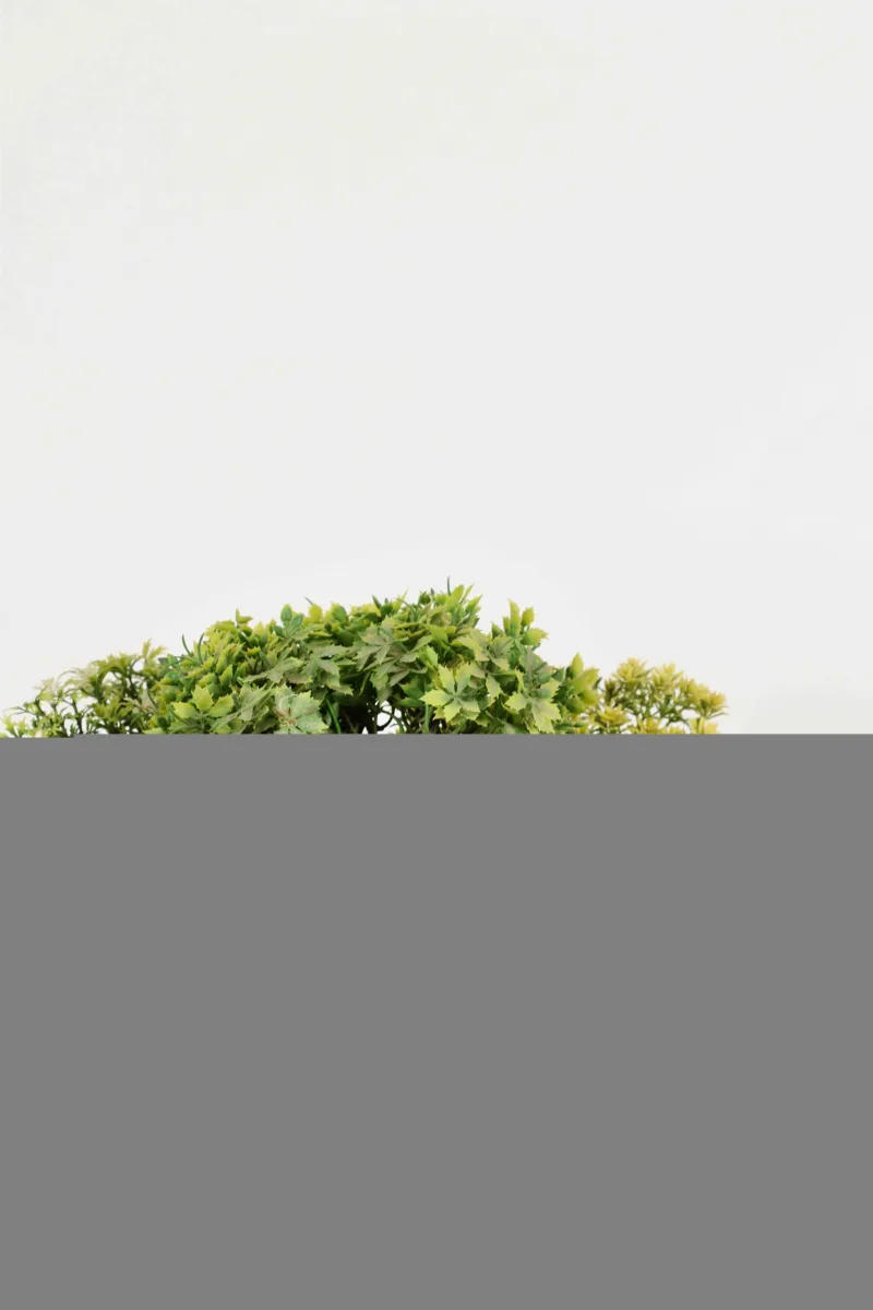 Classic Ceramic Planter — 5.5" Dia × 3" Height — Primary View