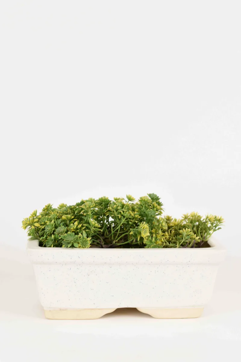 Classic Ceramic Planter — 8" Dia × 2.5" Height — Primary View