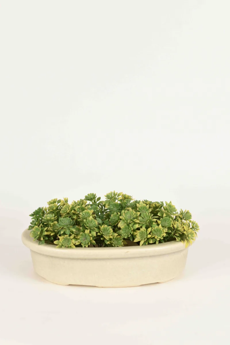 Classic Ceramic Planter Set of 3 (3" Dia) — Primary View
