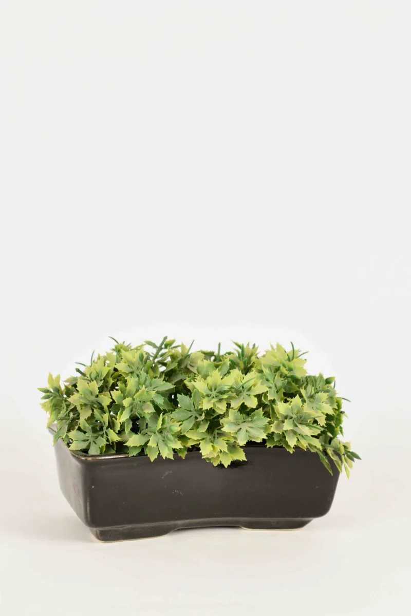 Classic Ceramic Planter Set of 3 (3" Dia) — Primary View