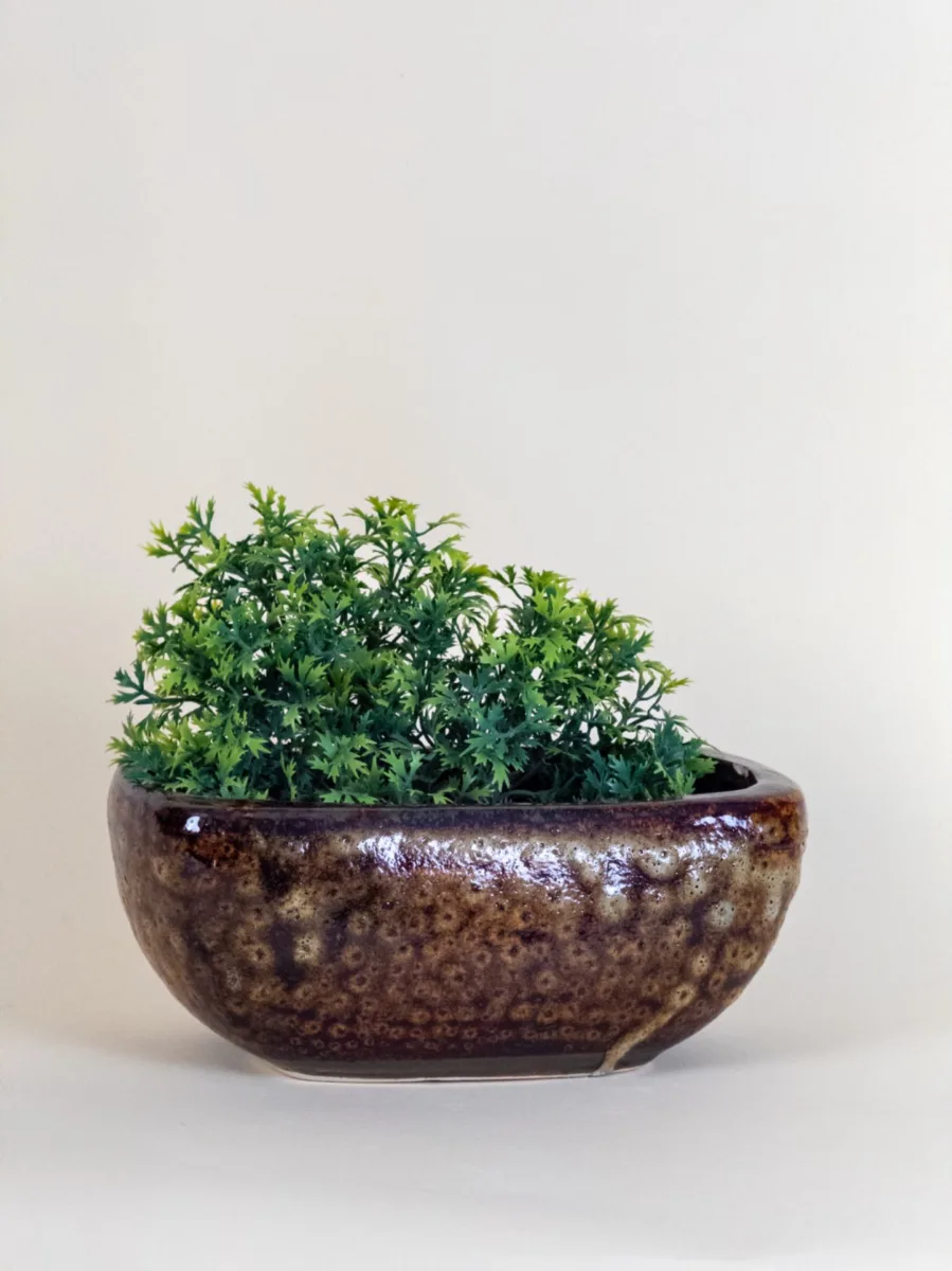 Classic Ceramic Planter — 10" Dia × 2" Height — Primary View
