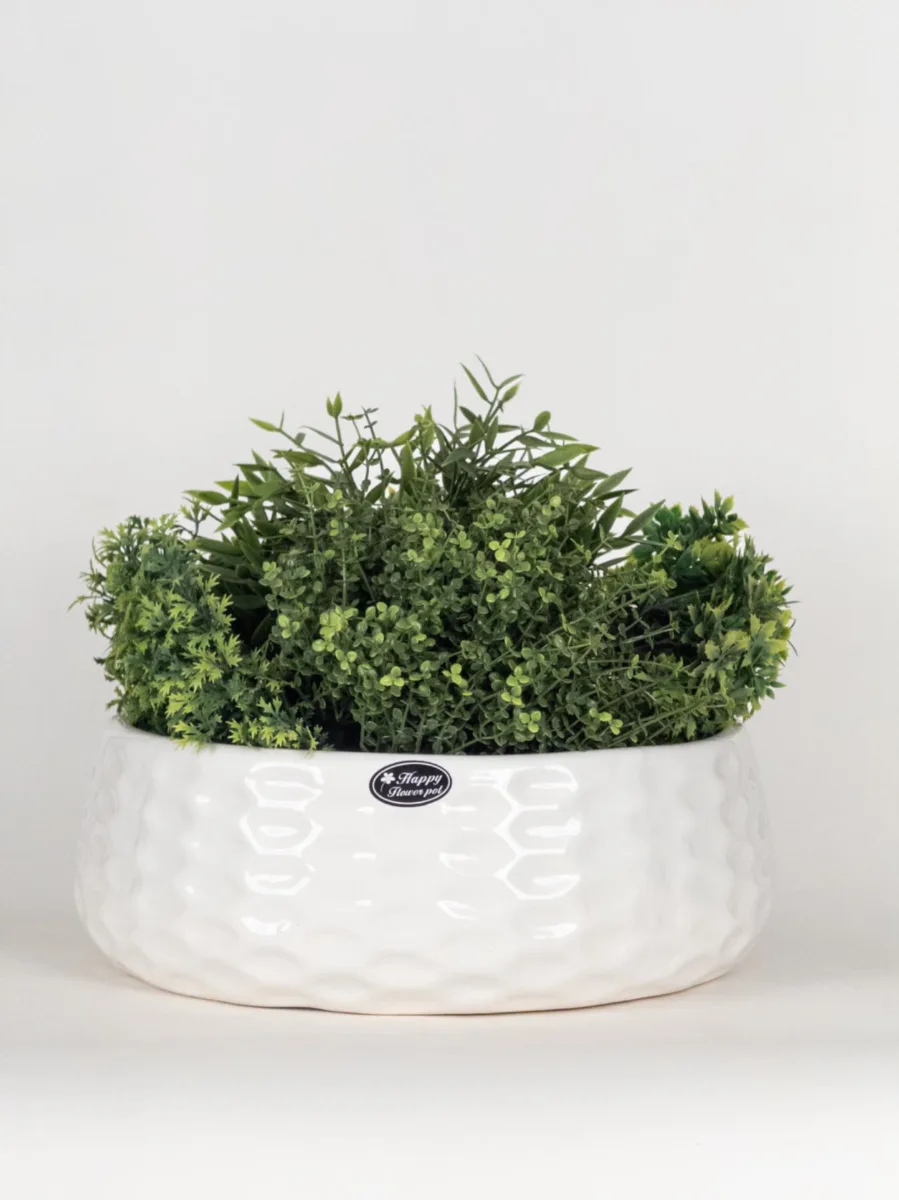 Classic Ceramic Planter — 11" Dia × 4.5" Height — Primary View