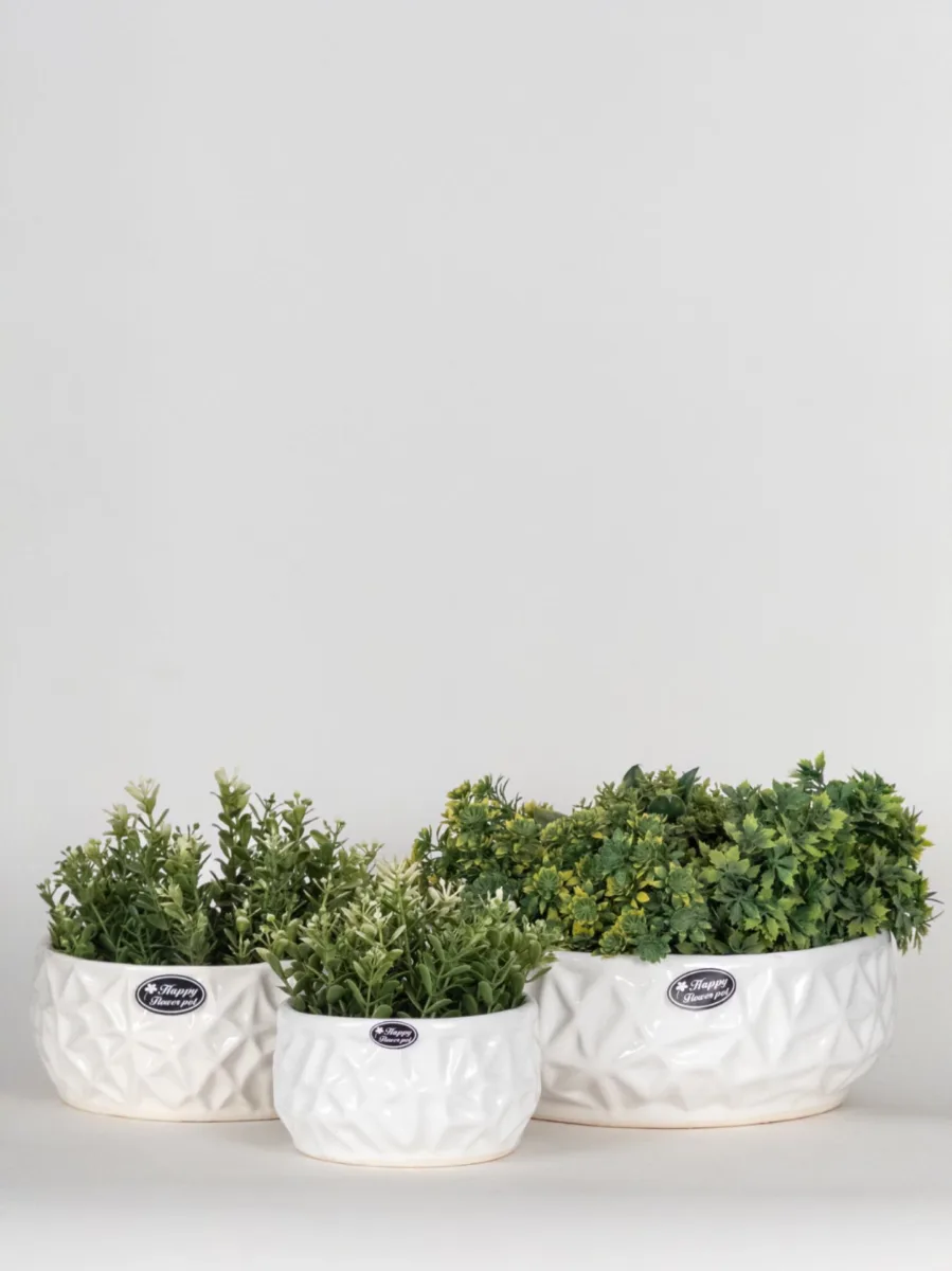 Classic Ceramic Planter — 9" Dia × 3.5" Height — Primary View