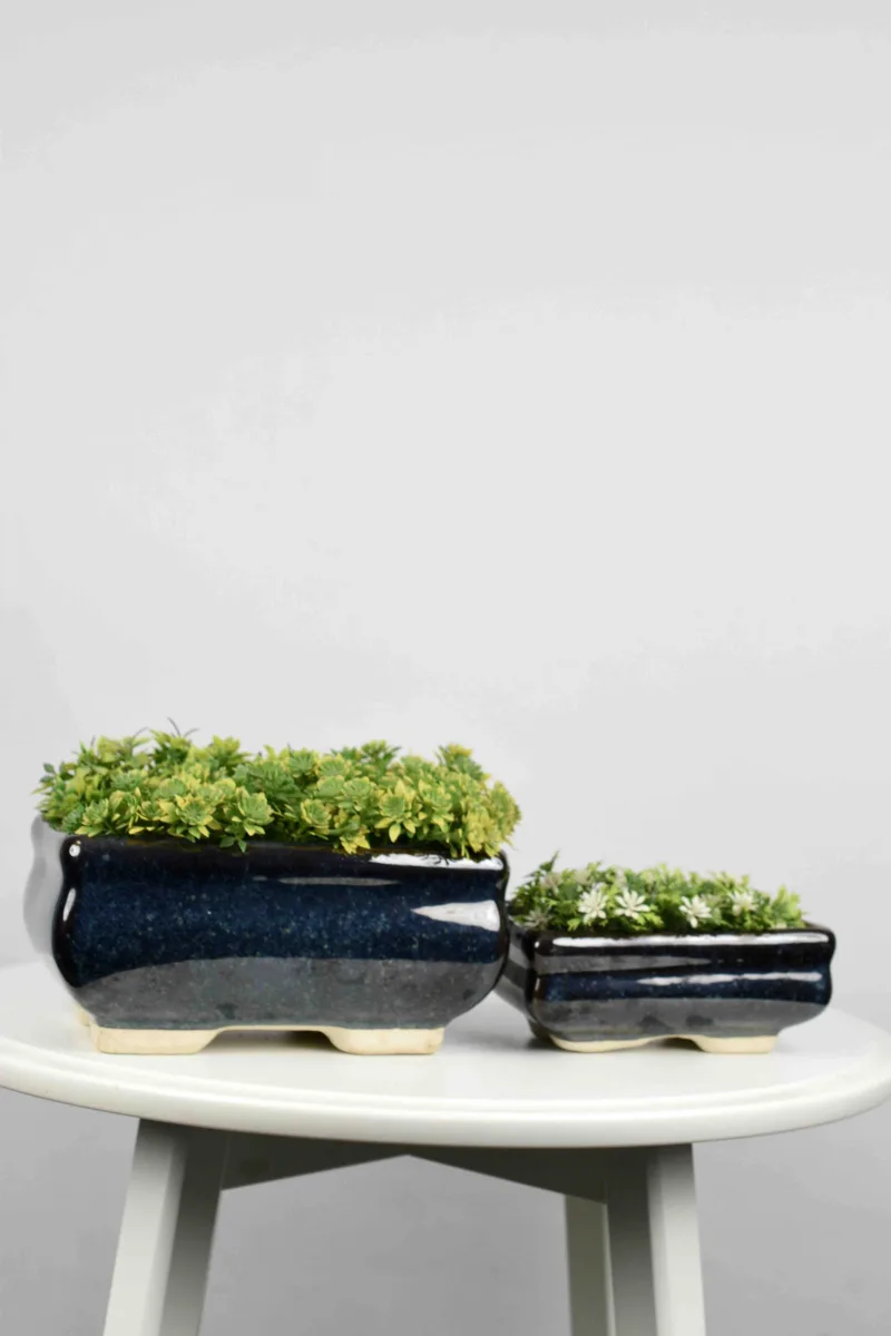 Classic Ceramic Planter — 8" Dia × 2" Height — Primary View