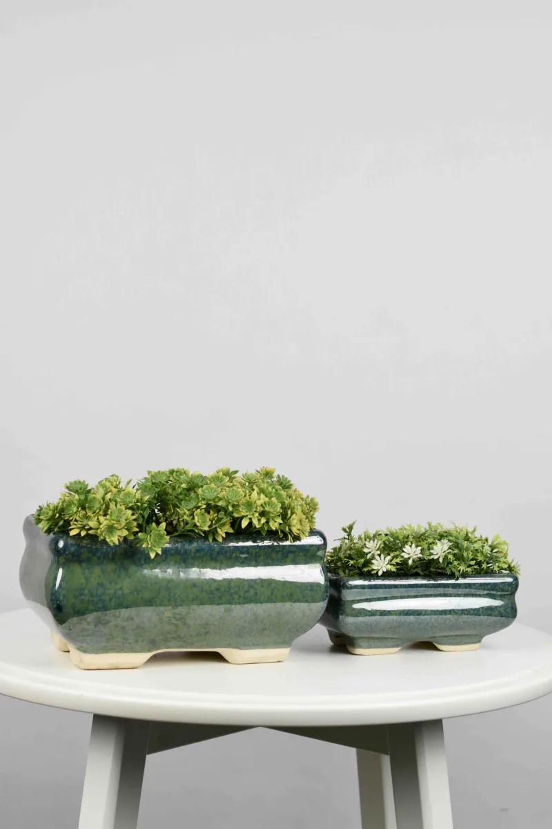Classic Ceramic Planter — 6" Dia × 2" Height — Primary View