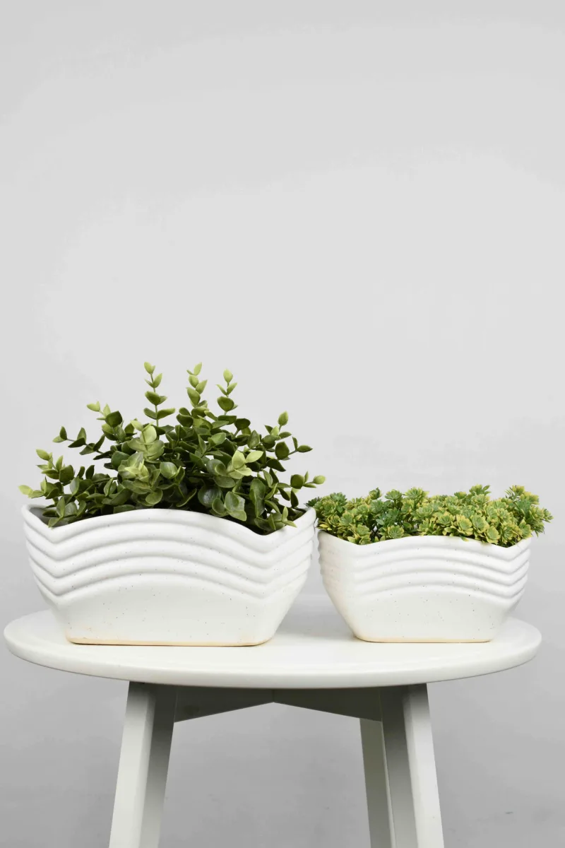 Classic Ceramic Planter — 6" Dia × 3.5" Height — Primary View