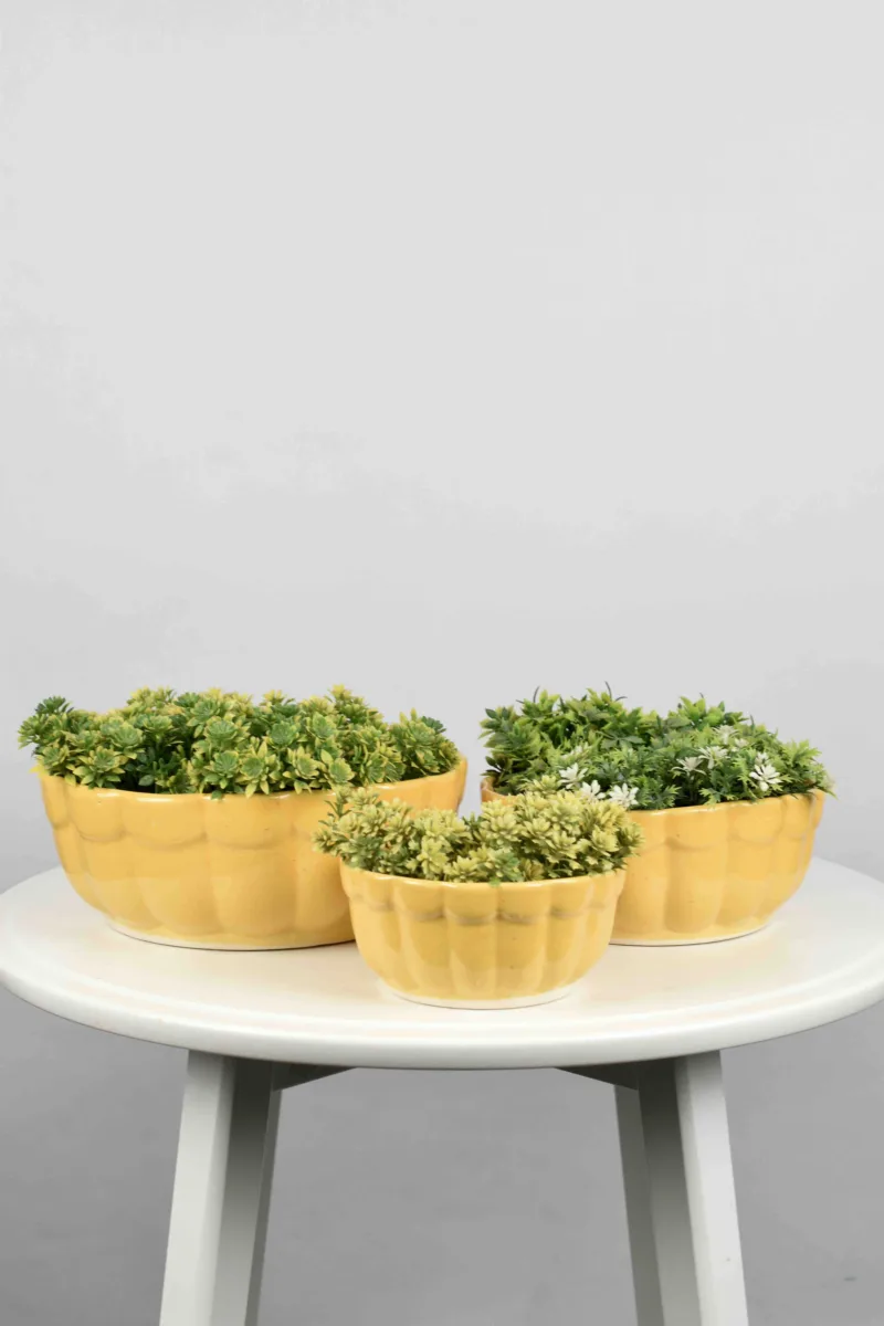 Classic Ceramic Planter — 3.5" Dia — Primary View