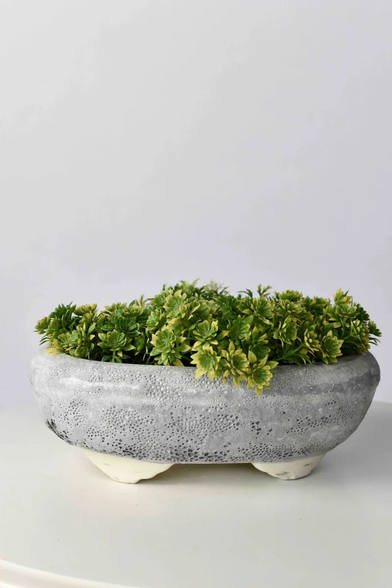 Classic Ceramic Planter — 23" Dia × 4" Height — Primary View