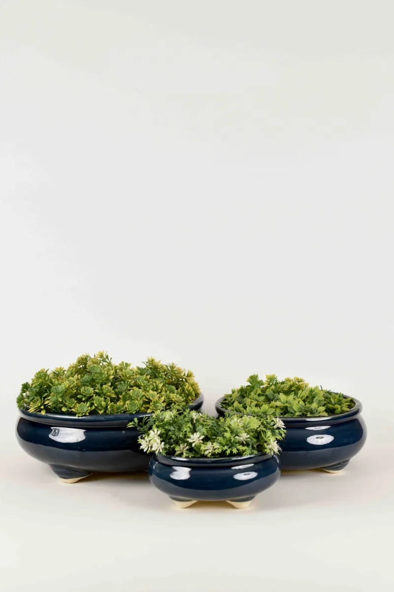 Classic Ceramic Planter — 11.5" Dia × 4.5" Height — Primary View