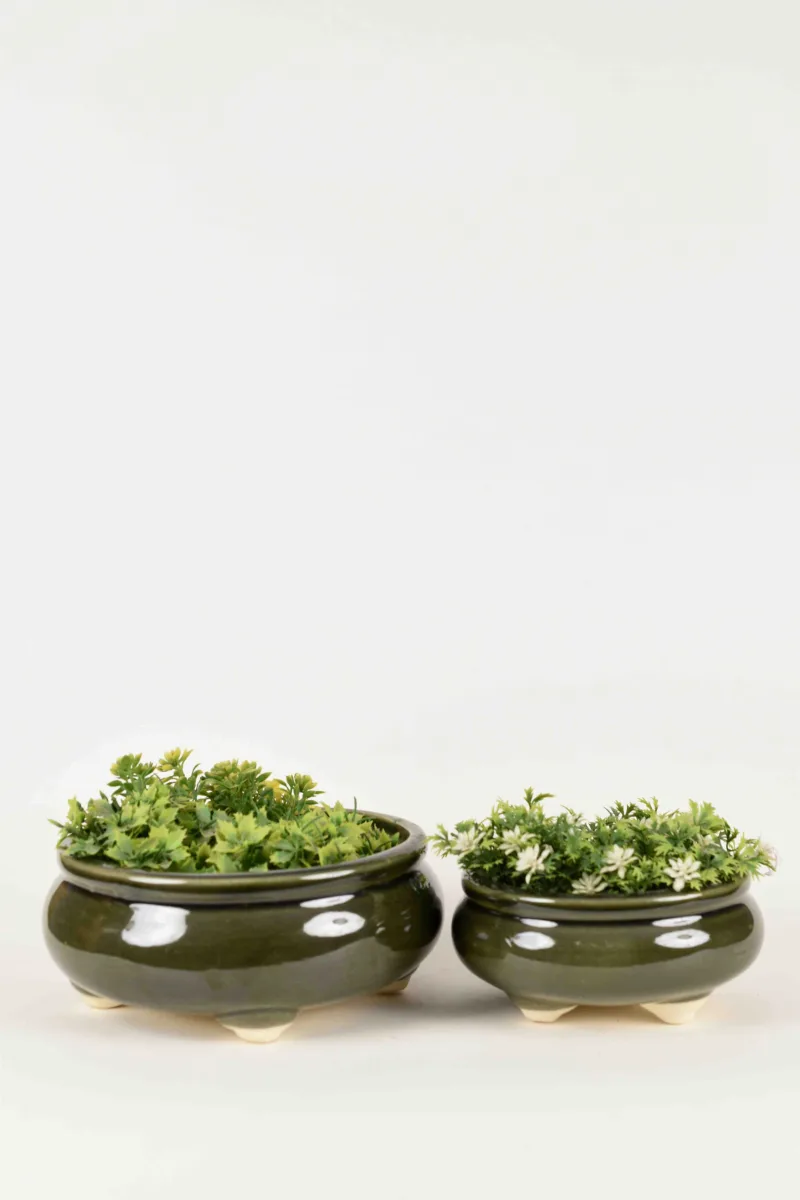Classic Ceramic Planter Set of 2 (2" Dia) — Primary View
