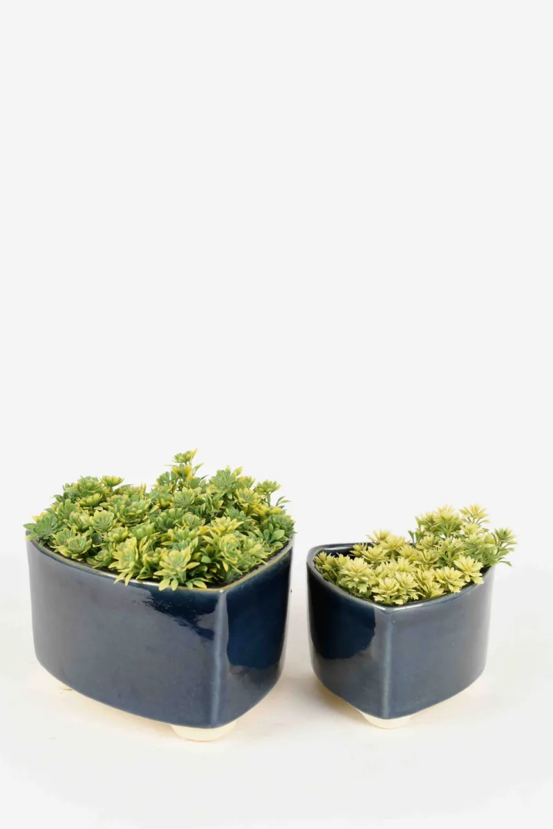 Classic Ceramic Planter — 8" Dia × 3.5" Height — Primary View