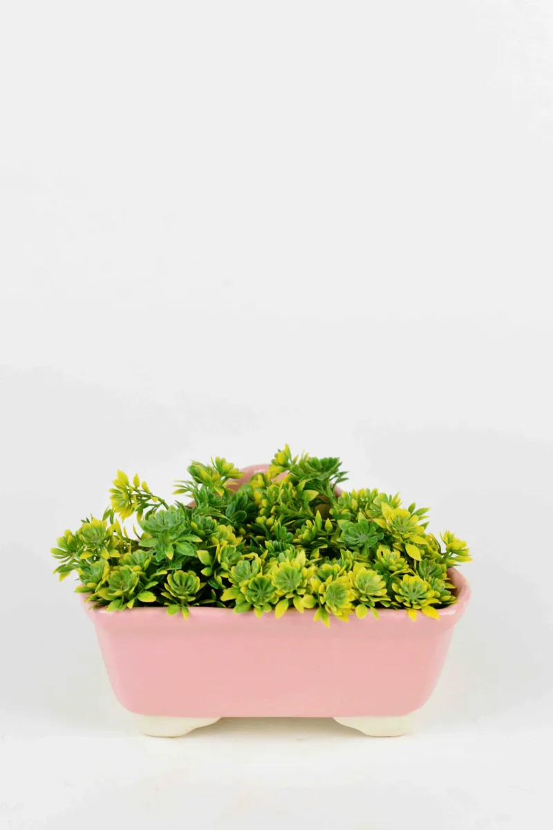 Classic Ceramic Planter Set of 2 (2" Dia) — Primary View