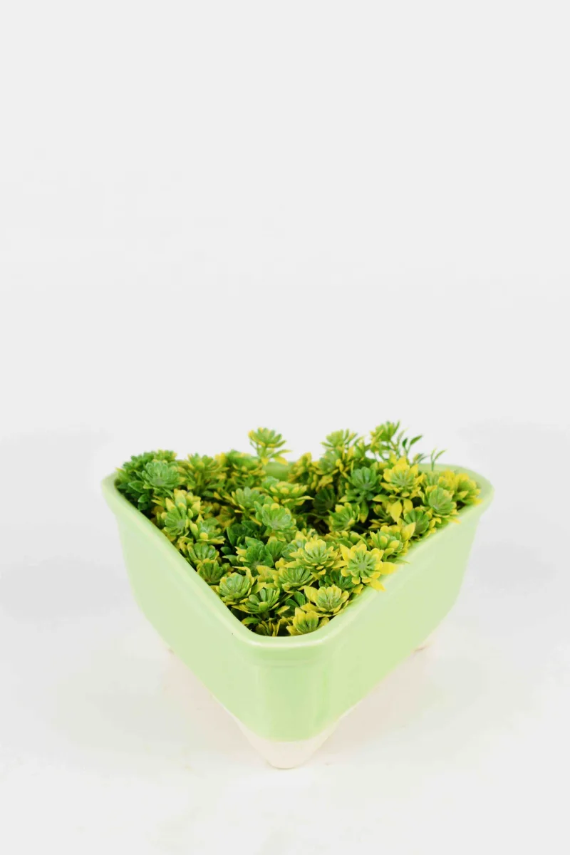 Classic Ceramic Planter Set of 2 (2" Dia) — Primary View