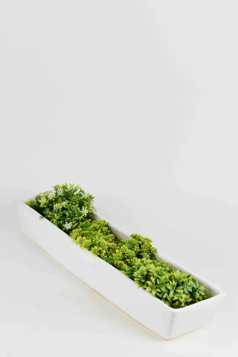 Classic Ceramic Planter Set of 3 (3" Dia) — Primary View