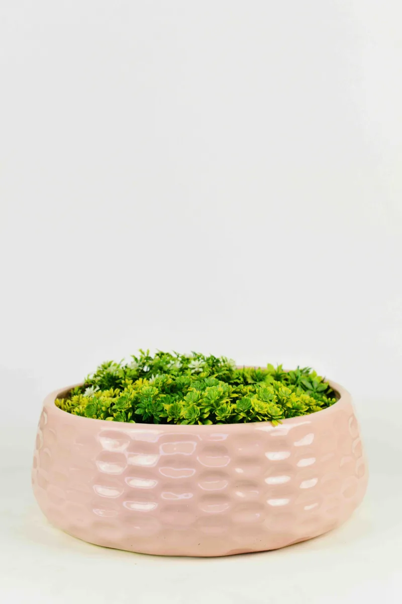 Classic Ceramic Planter Set of 2 (2" Dia) — Primary View
