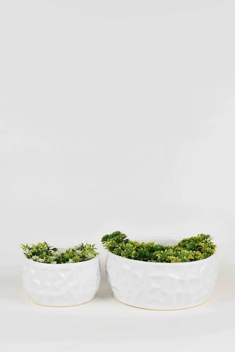 Classic Ceramic Planter Set of 2 (2" Dia) — Primary View
