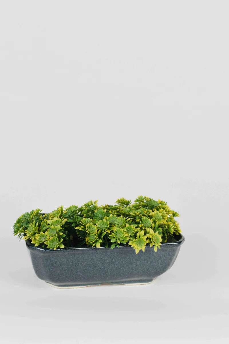 Classic Ceramic Planter Set of 2 (2" Dia) — Primary View
