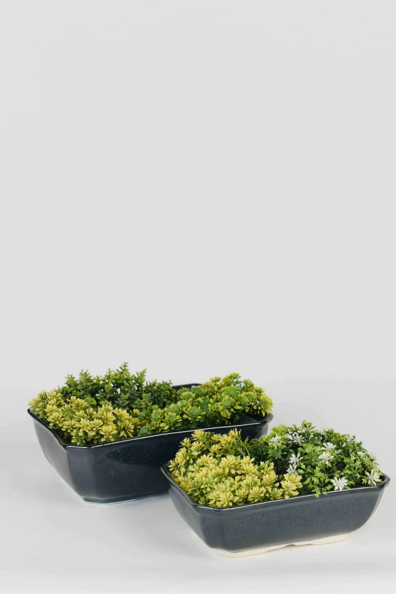 Classic Ceramic Planter — 5" Dia × 2.5" Height — Primary View