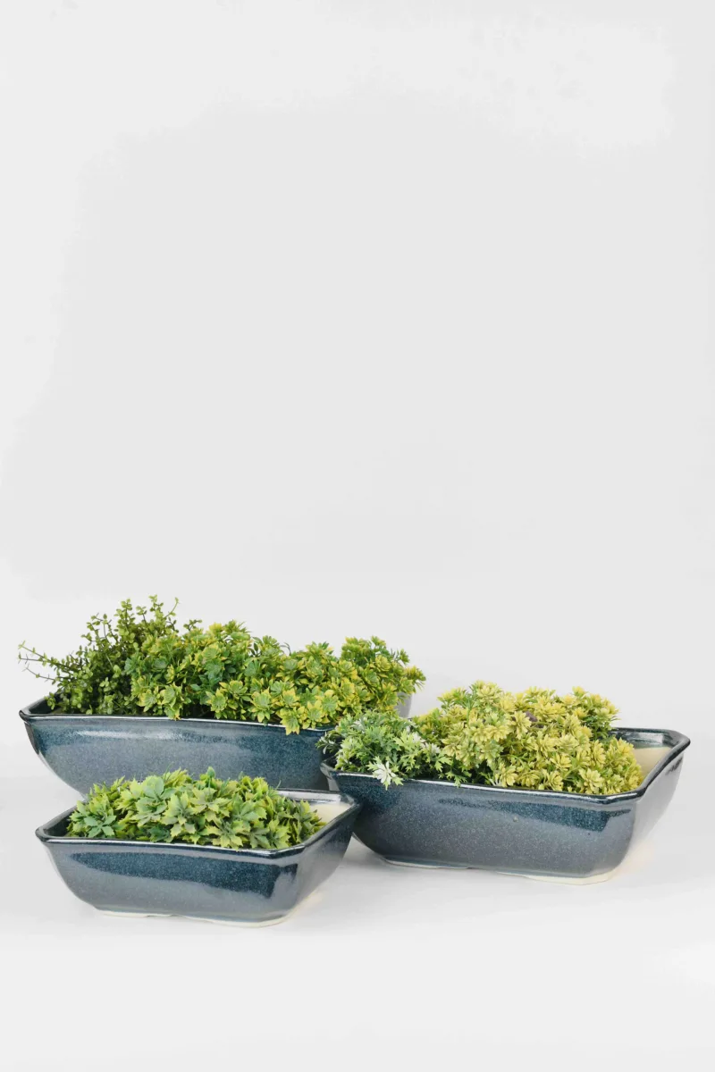 Classic Ceramic Planter — 6.5" Dia × 3" Height — Primary View