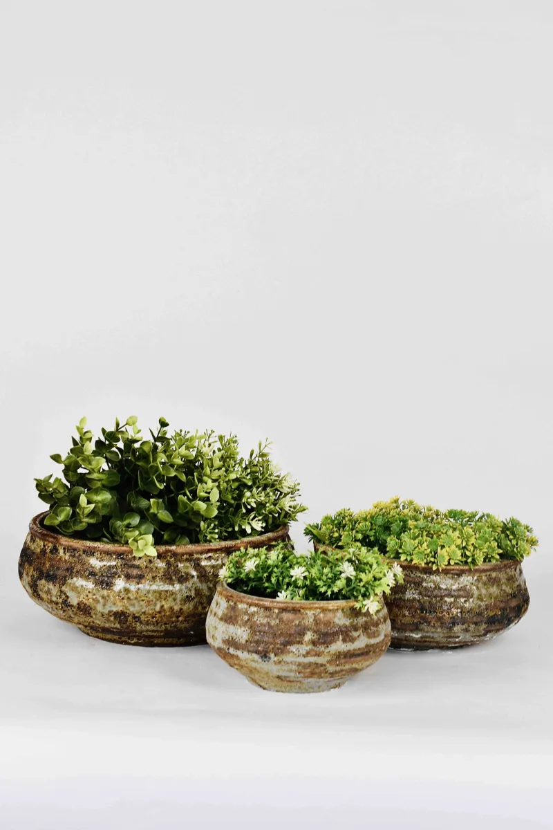 Classic Ceramic Planter — 10.5" Dia × 4" Height — Primary View