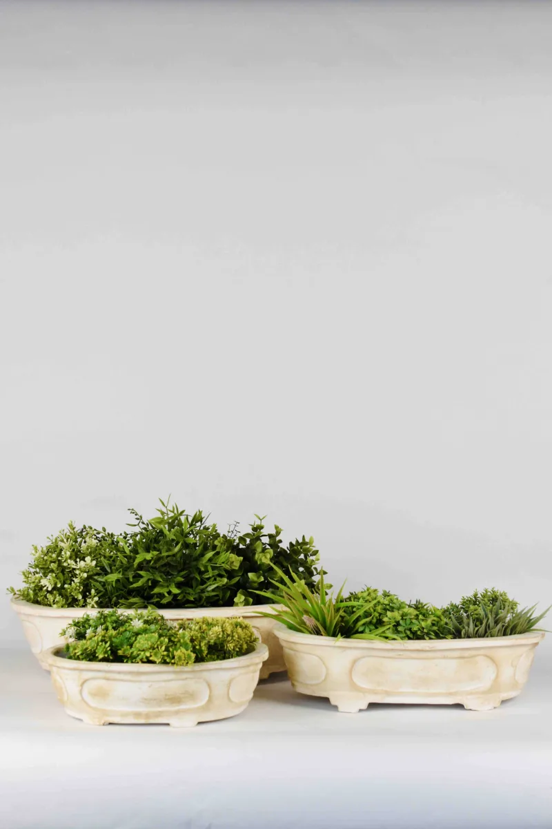 Classic Ceramic Planter — 8" Dia × 2.5" Height — Primary View