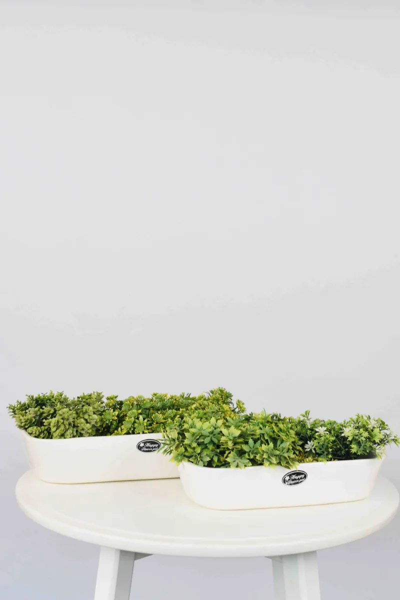 Classic Ceramic Planter Set of 3 (3" Dia) — Primary View