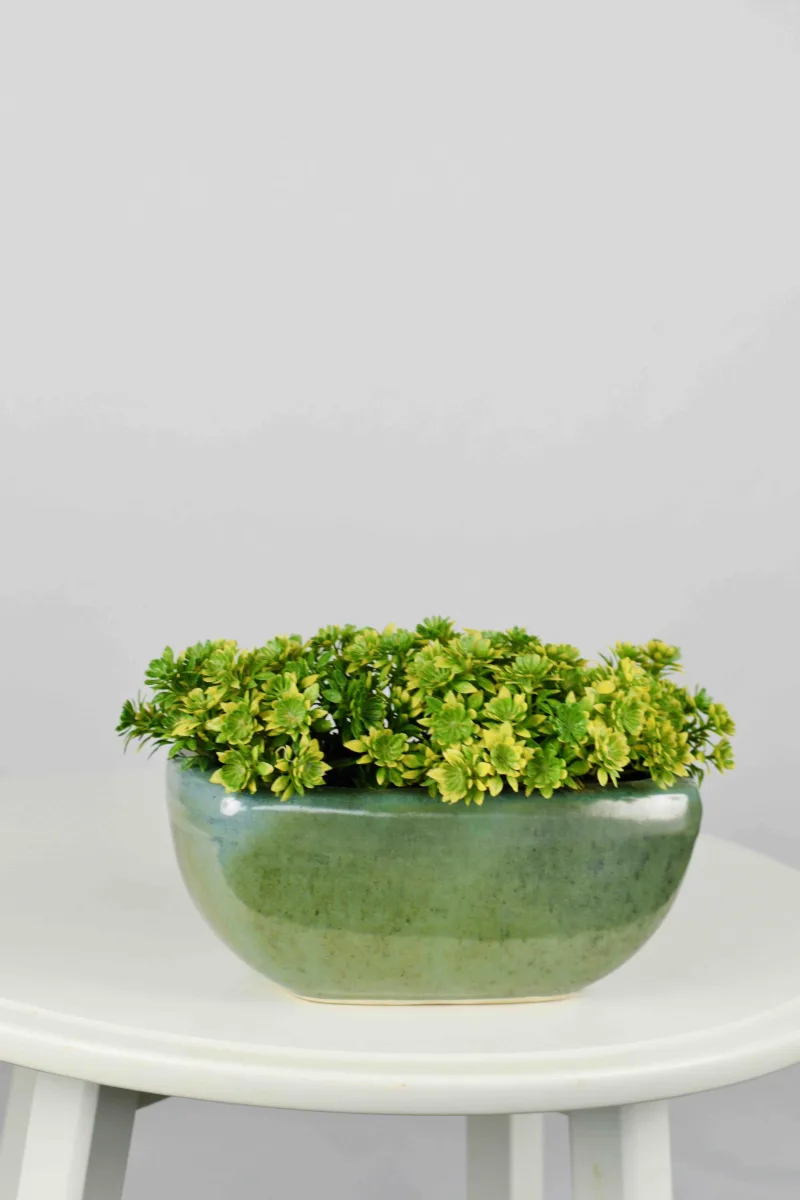Classic Ceramic Planter — 15" Dia × 4" Height — Primary View