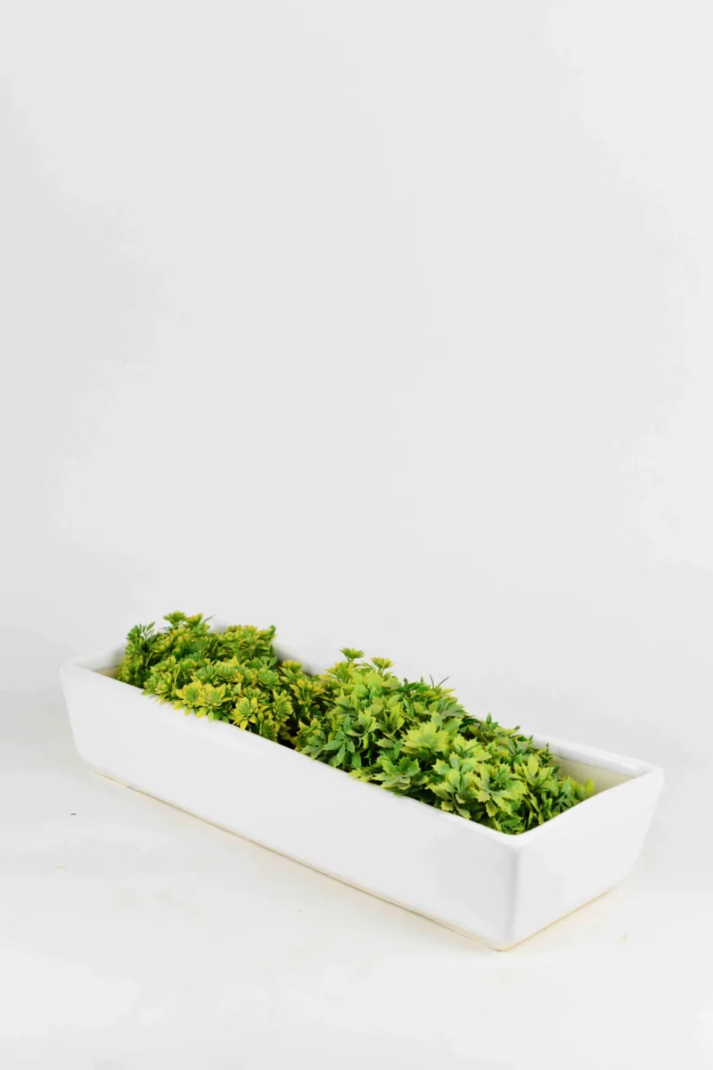 Classic Ceramic Planter — 13" Dia × 3" Height — Primary View