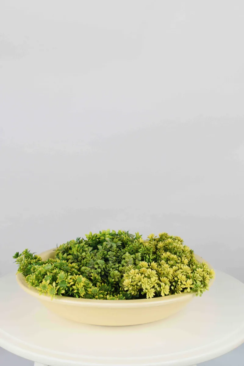 Classic Ceramic Planter — 16" Dia × 3.5" Height — Primary View
