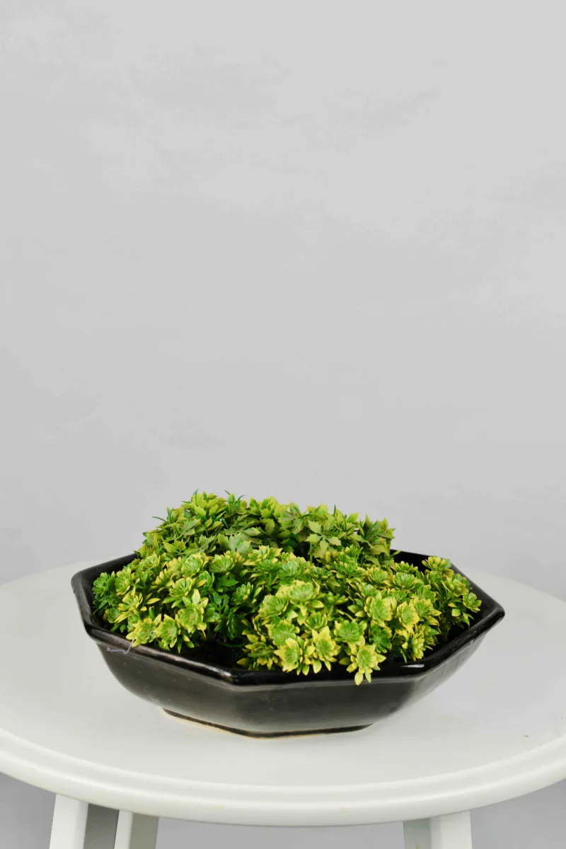 Classic Ceramic Planter — 16" Dia × 3" Height — Primary View