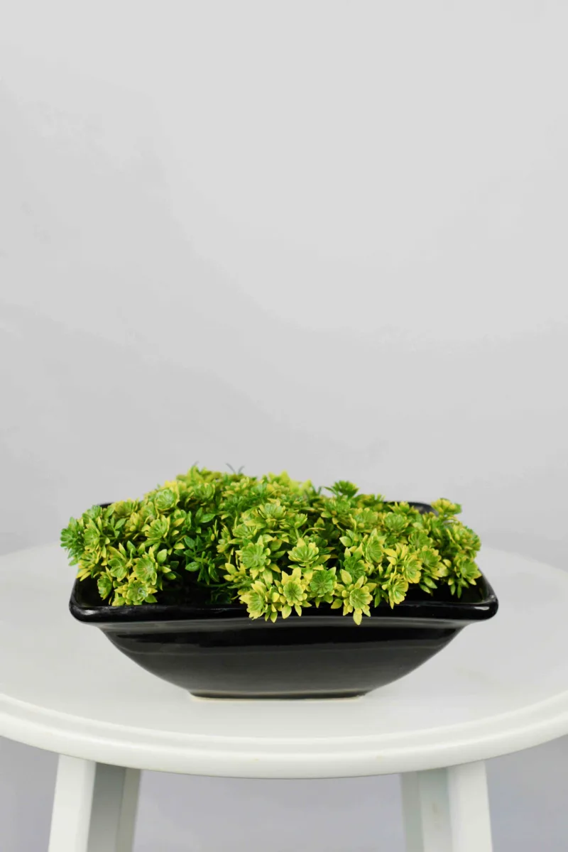Classic Ceramic Planter — 21" Dia × 3" Height — Primary View