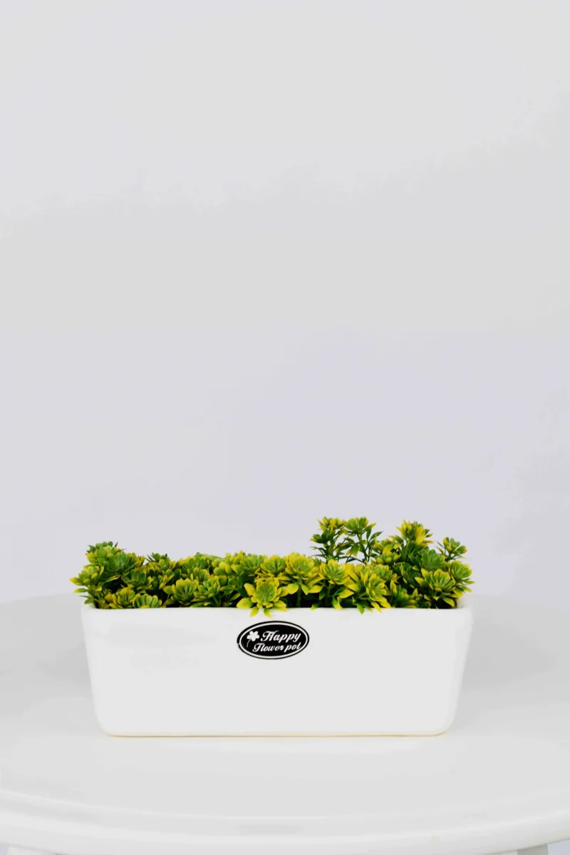 Classic Ceramic Planter Set of 3 (3" Dia) — Primary View