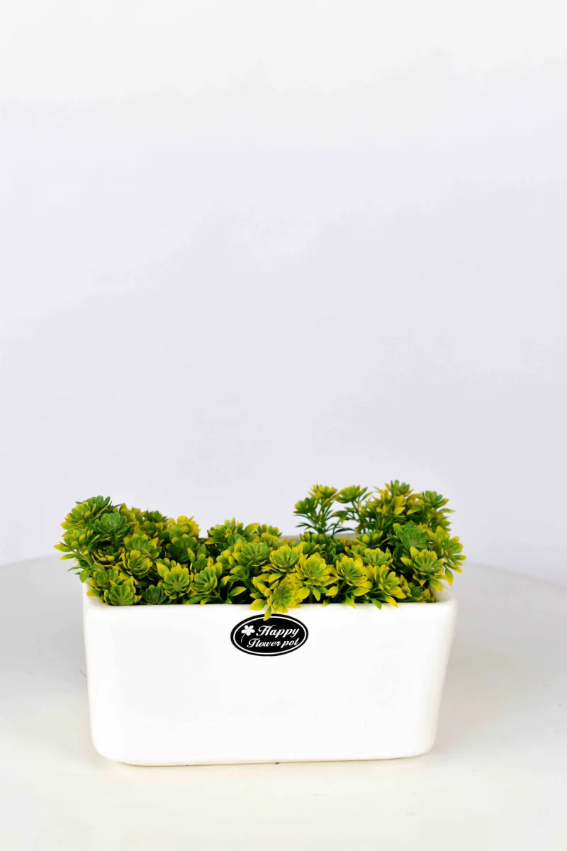 Classic Ceramic Planter Set of 3 (3" Dia) — Primary View