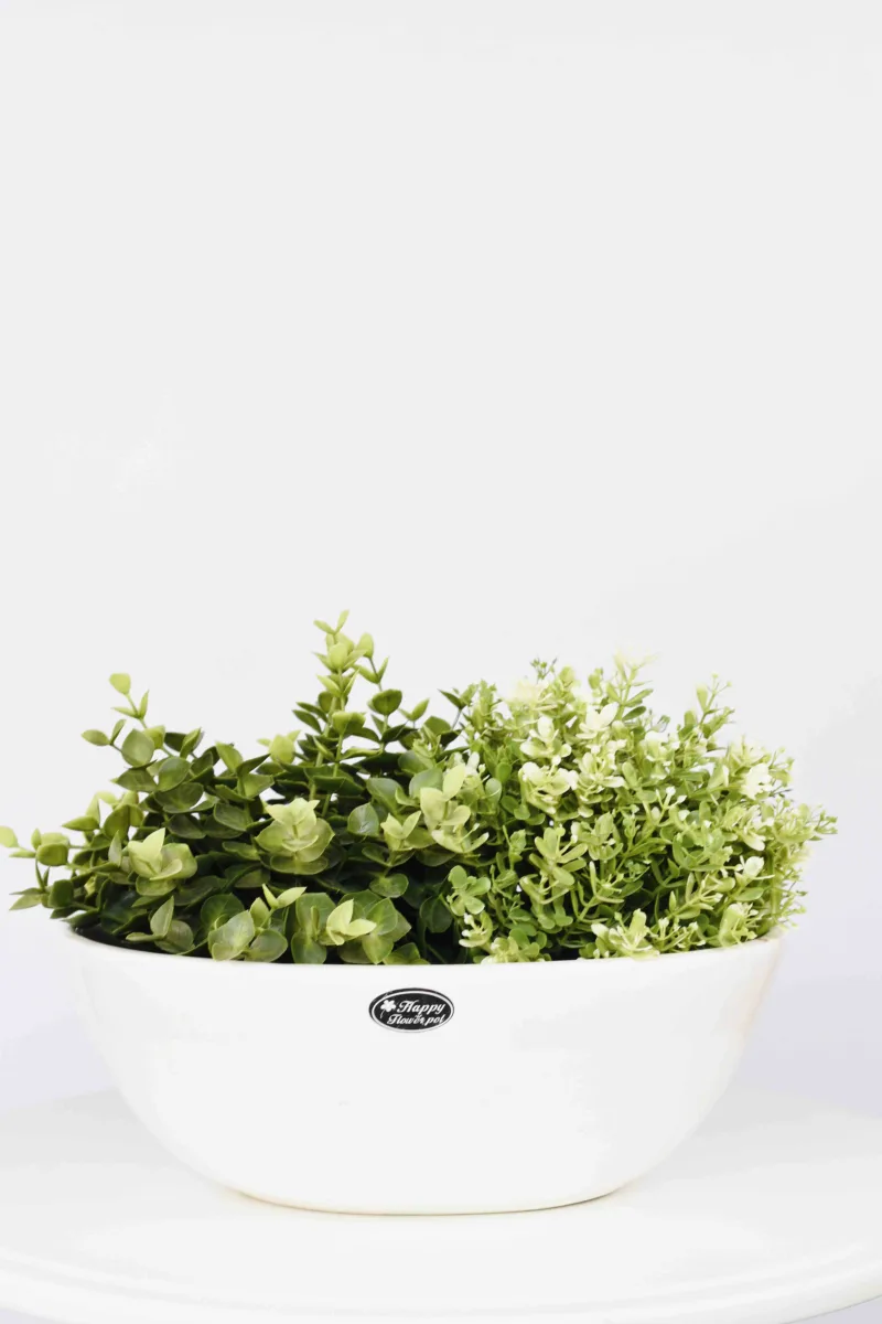 Classic Ceramic Planter — 14.5" Dia × 3" Height — Primary View