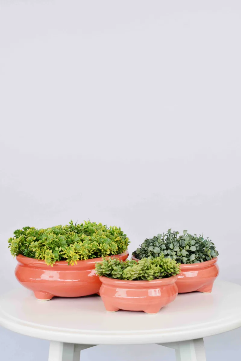 Classic Ceramic Planter — 8" Dia × 2.5" Height — Primary View